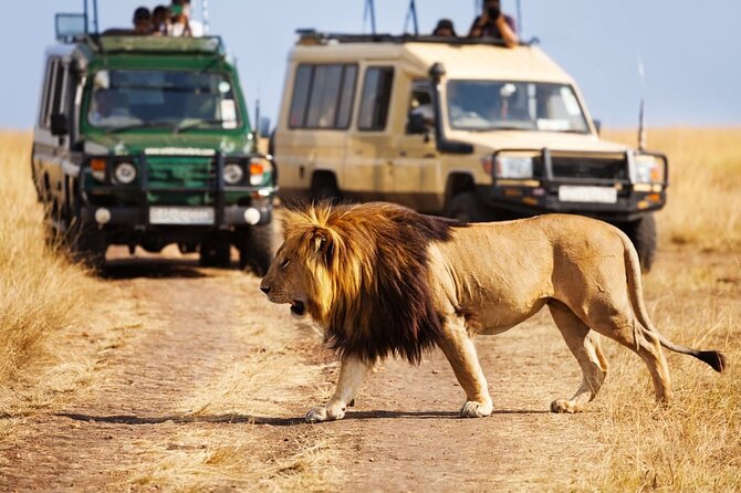 Dubai Safari Park With Transfer - African Village: Lions, Rhinos, and Classic Safari Animals