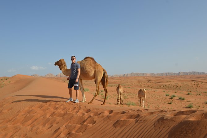 Dubai Self-Drive 4WD Desert and Dune Bash Safari - Why self-driving changes the Dubai desert safari