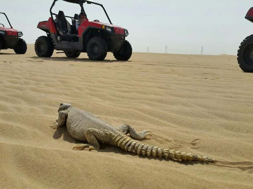 Dubai: Self-Drive Dune Buggy Safari with Pickup and Drop-Off - What this Dubai desert buggy trip is really like