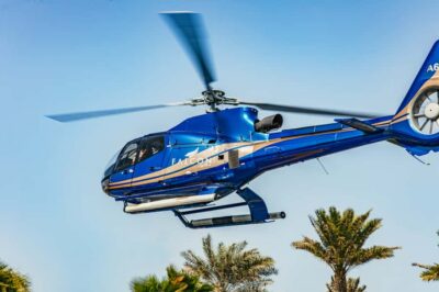 Sightseeing Helicopter Ride from The Palm