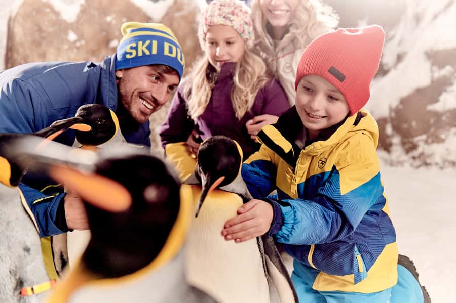 Dubai: Ski Dubai Snow Park Classic Pass - Why timing changes the experience