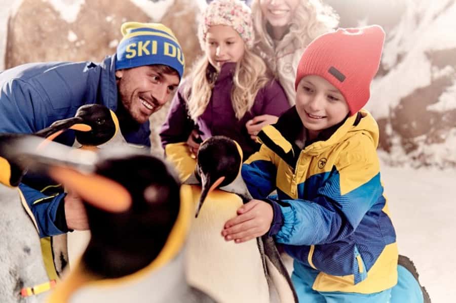 Dubai: Ski Dubai Snow Plus Pass - How long should you plan to stay?