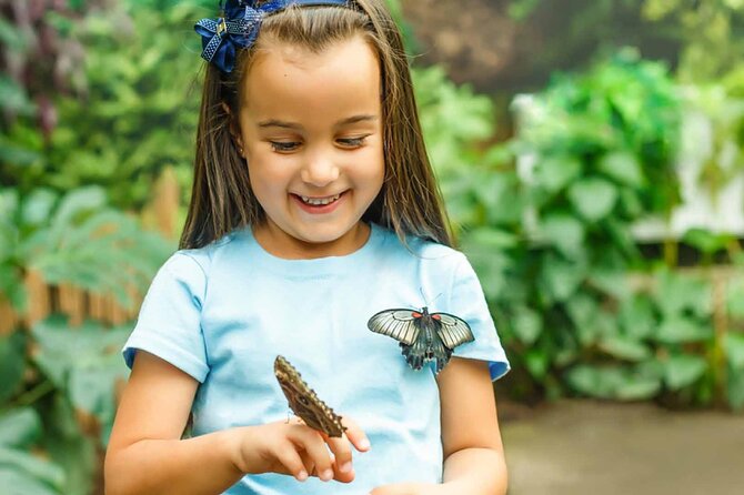 Dubai: Skip-The-Line Ticket to Butterfly Garden - The best time to visit