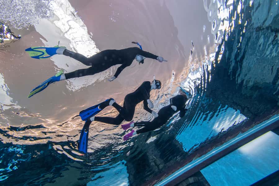 Dubai: Snorkeling at Deep Dive World's Deepest Pool - Key points to know before you book