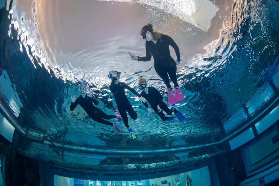 Dubai: Snorkeling at Deep Dive World's Deepest Pool - What you are really booking at the 60-meter pool