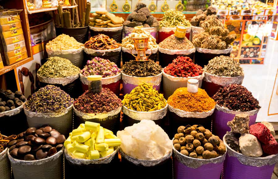 Dubai Stopover Tour & Transit Tours - What the guides and drivers add