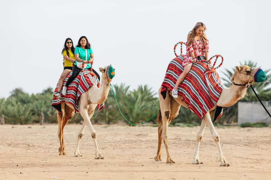 Dubai: Sunrise Balloon Flight with Camel Ride & Breakfast - Key points to know before you book