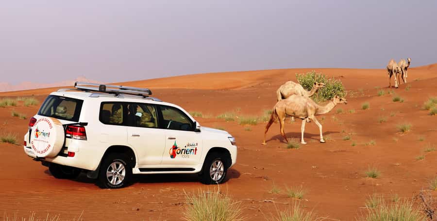 Dubai Sunrise Desert Camel Trek with Breakfast - Crossing Dubai before the dunes