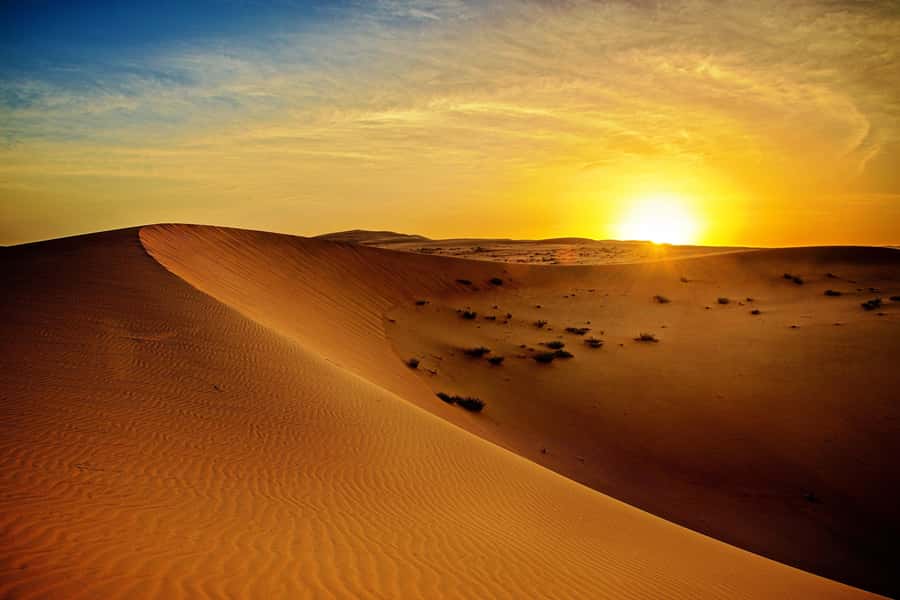 Dubai: Sunrise Desert Jeep Safari with Wildlife Experience - Sunrise among the Dubai dunes