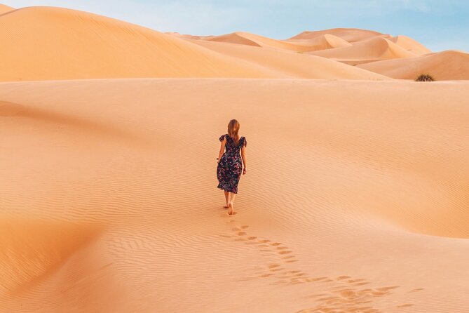 Dubai Sunrise Desert Safari - The optional Falcon experience and extra costs