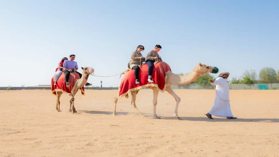 Dubai: Sunrise Hot Air Balloon Flight, Breakfast, Camel Ride - Who should book this Dubai experience?