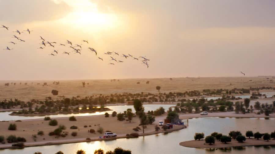 Dubai: Sunrise Hot Air Balloon Tour with E-Certificate - Flight Time, Safety, and Comfort