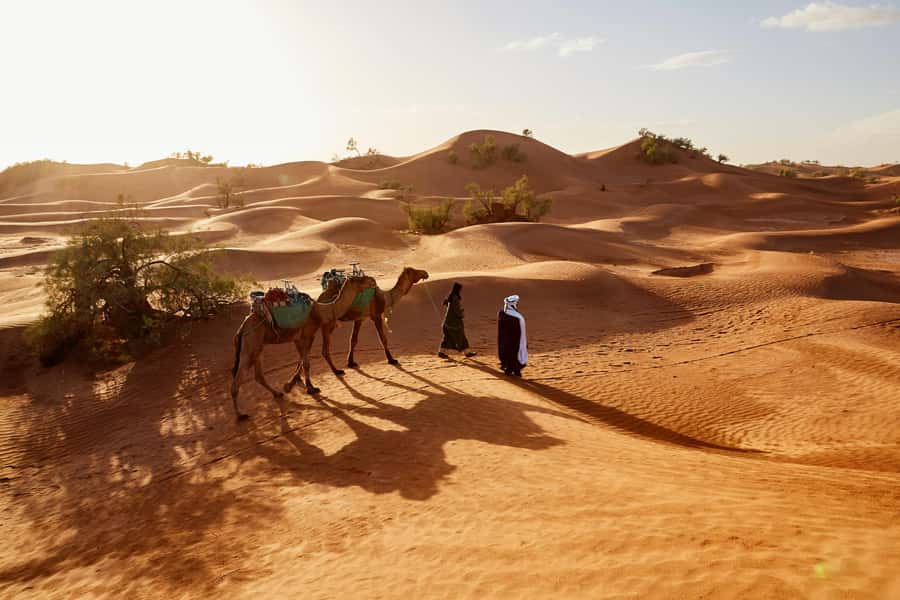 Dubai: Sunrise Hot Air Balloon Tour with E-Certificate - Coffee, Tea, and the Balloon Coming to Life