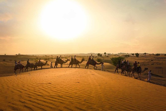 Dubai: Sunset Camel Trek, Al Khayma Camp, Stargazing & BBQ - What makes this desert evening worth your time