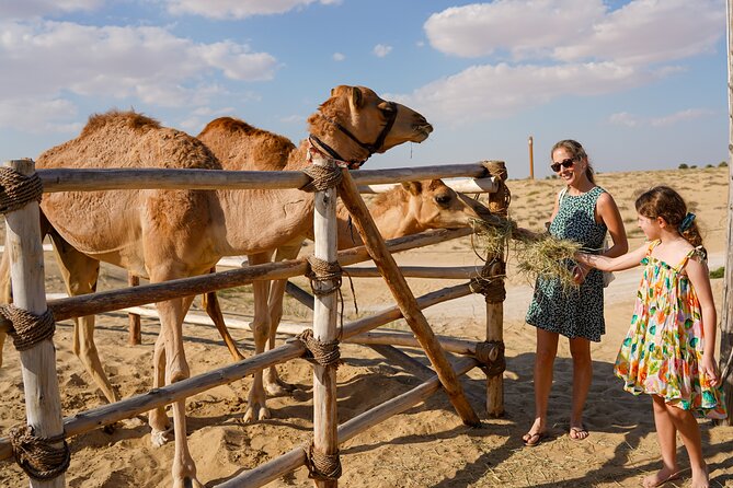 Dubai: Sunset Camel Trek, Al Khayma Camp, Stargazing & BBQ - Stargazing after the camp lights go out