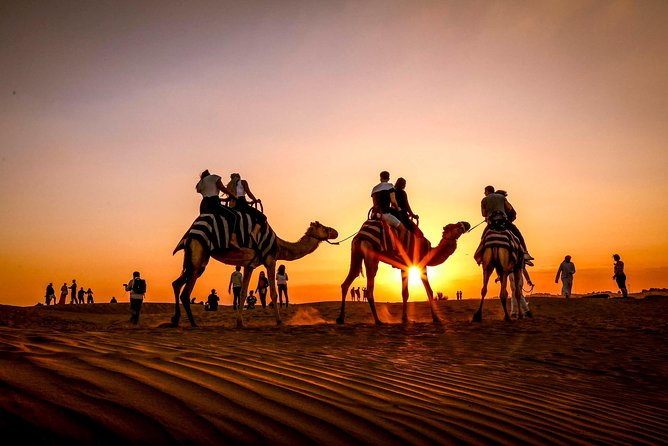 Dubai Sunset Camel Trekking with Shows & BBQ Dinner - Henna, Arabic dress, falcon photos, and shisha