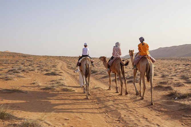 Dubai Sunset Camel Trekking with Shows & BBQ Dinner - Fire, dance, horse, camel, and falcon shows