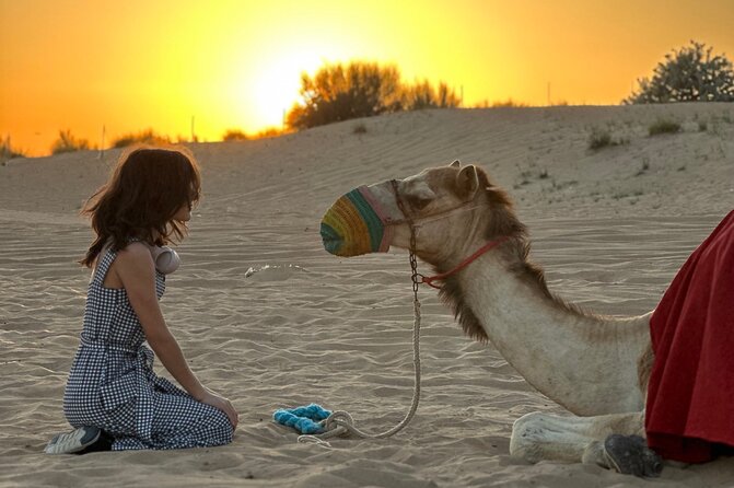 Dubai Sunset Red Dune Desert Safari, Sandboarding and Camel Ride - Dinner, barbecue, and camp shows are package-dependent