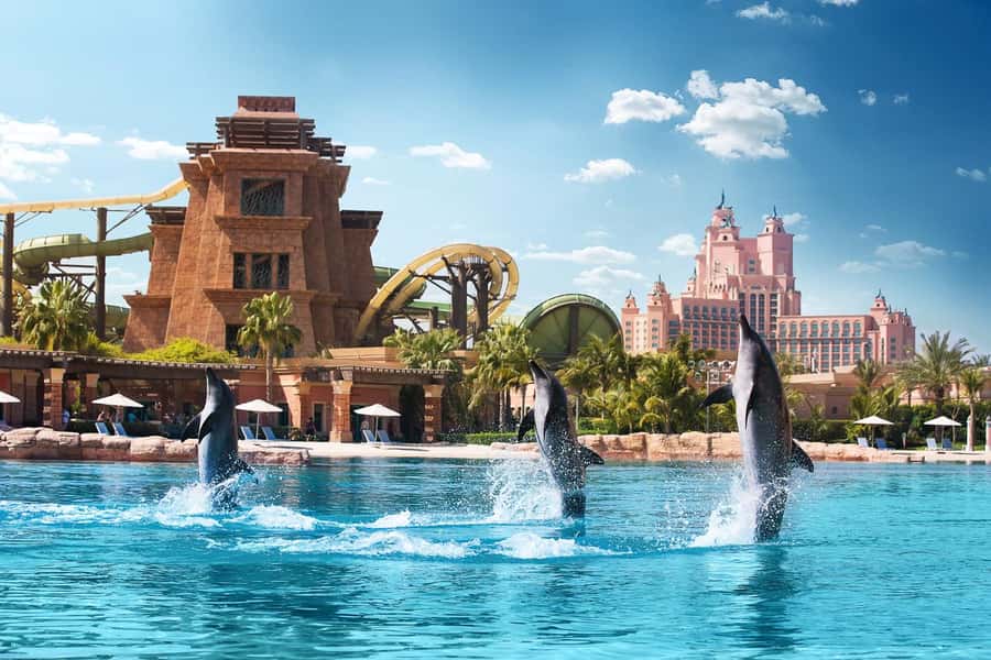 Dubai: Swim with Dolphins at Atlantis Waterpark - Key points to know before booking