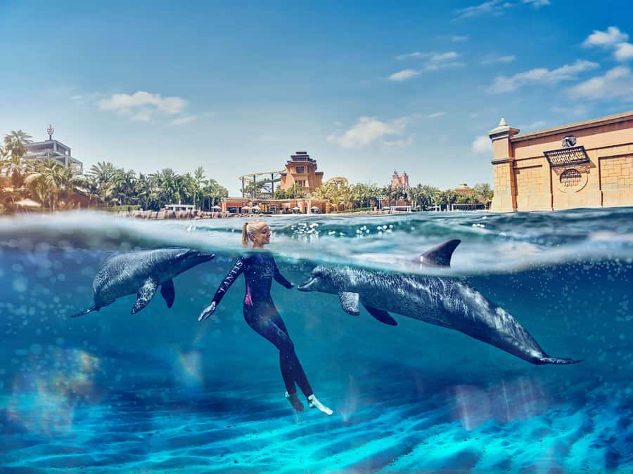 Dubai: Swim with Dolphins at Atlantis Waterpark - Thirty minutes in 3-meter-deep water