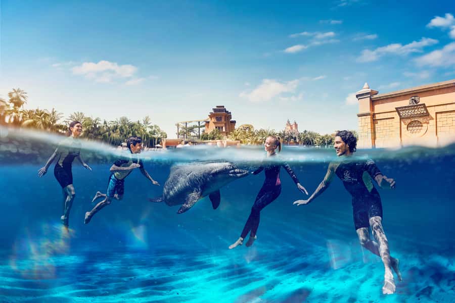 Dubai: Swim with Dolphins at Atlantis Waterpark - The 15-minute briefing before you enter the water