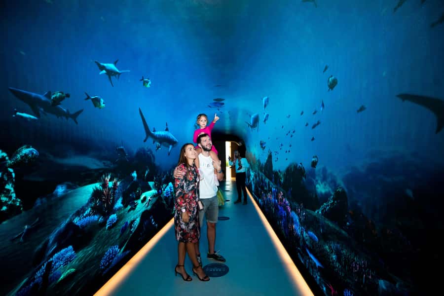 Dubai: The View At The Palm Observatory Entry Ticket - Is Fast-Track Entry Worth the Extra Cost?