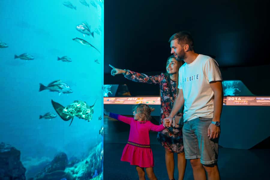 Dubai: The View At The Palm Observatory Entry Ticket - Who Will Enjoy The View at The Palm?