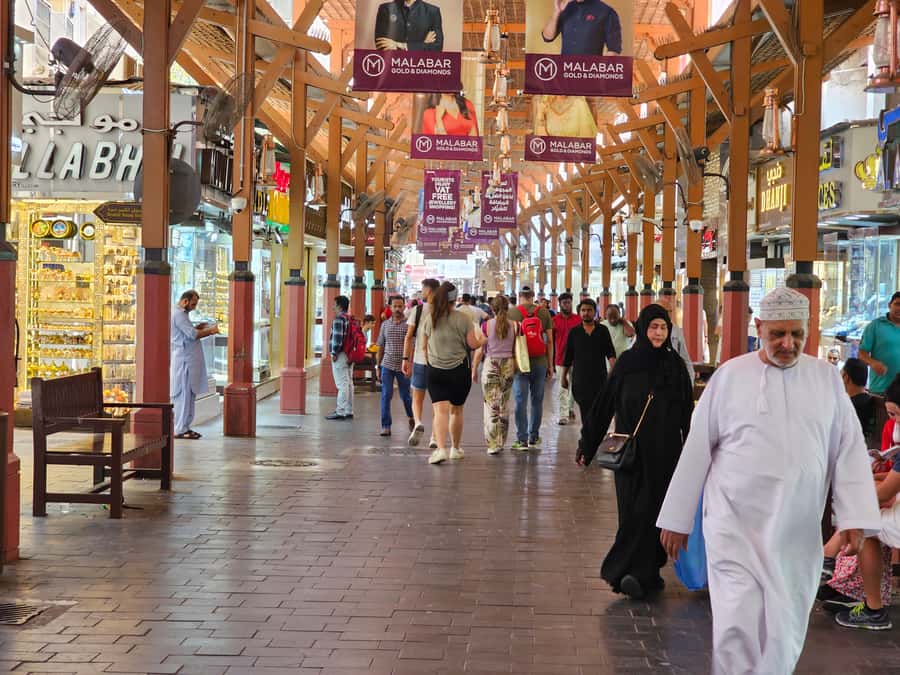 Dubai: Top 15 Must-See Dubai Sightseeing Tour in a SUV/VAN - Zabeel Palace and the Dubai Frame