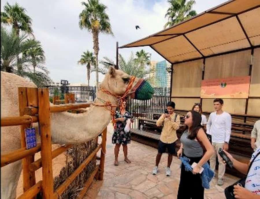 Dubai: Top Must-See Sights Tour with Burj Khalifa At The Top - Madinat Jumeirah and Burj Al Arab