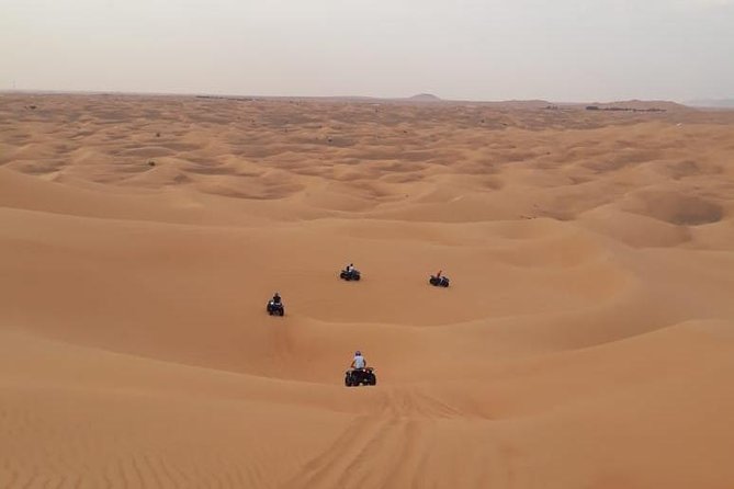 Dubai: Unique MORNING Quad Bike Red Dunes Safari - One or two hours on the quad bike