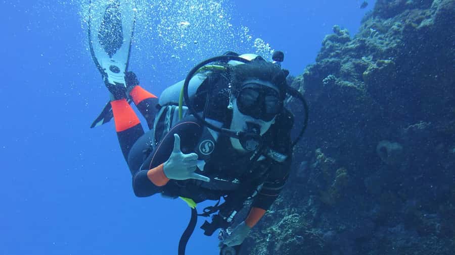 Dubai: VIP Private Scuba Dive with Free Hotel Transfer - What $95 gets you in Dubai