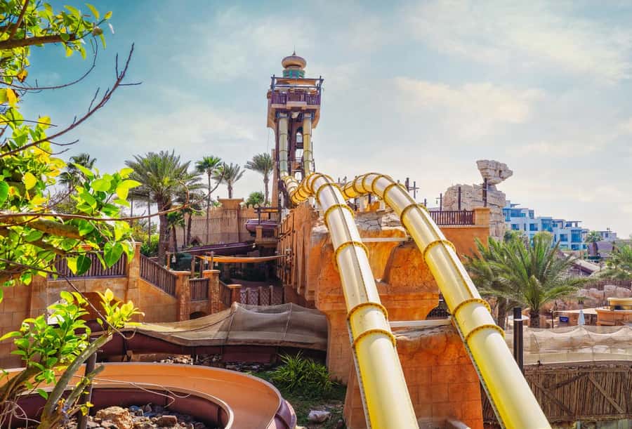 Dubai: Wild Wadi Waterpark Entrance Ticket - When queues help or hurt the value