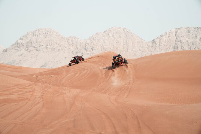 Dune Buggy Experience and Dinner at Mleiha Archaeological Center - Dinner at the Mleiha Archaeological Center
