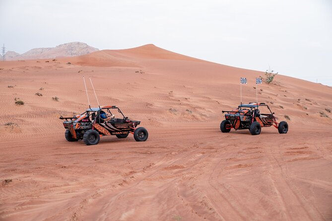 Dune Buggy Experience & Fossil Discovery in Mleiha National Park - Fossil Rock and Mleiha’s older story