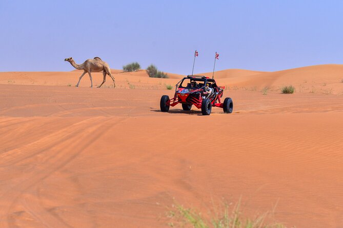 Dune Buggy Ride with Private BBQ Dinner in the Desert - The private camp and live BBQ dinner