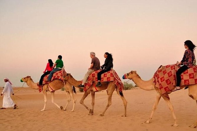 Evening Desert Adventure: Quad Biking, Sandboarding & Camel Ride - A short camel ride with a traditional purpose