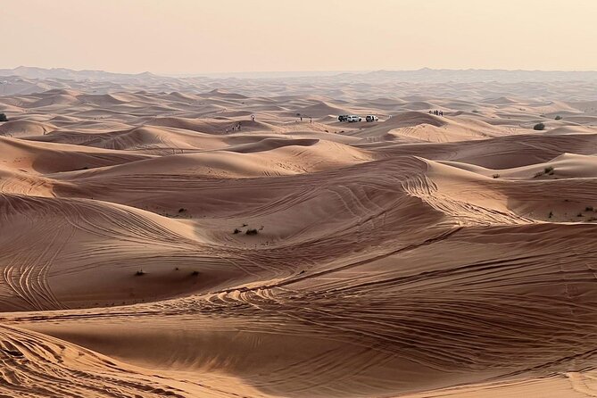 Evening Desert Safari Abu Dhabi with Dinner - Henna, majlis time, and evening shows