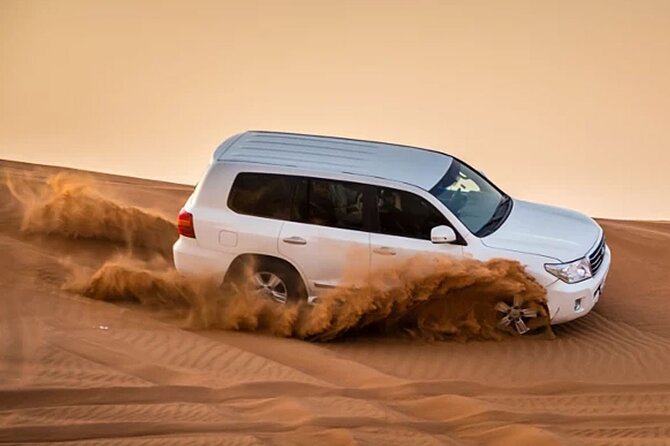 Evening Desert Safari Abu Dhabi with Hot BBQ Dinner - Key points to know before you go