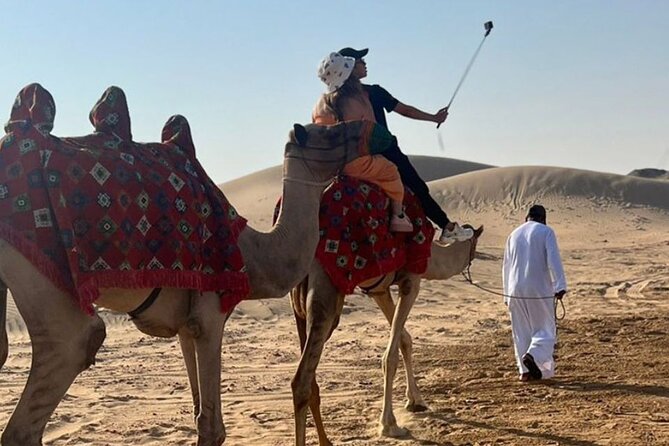Evening Desert Safari Abu Dhabi with Hot BBQ Dinner - Dune bashing as the main burst of action