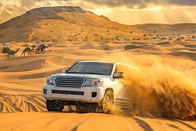 Evening Desert Safari Adventure in Dubai - Is $55.82 good value?