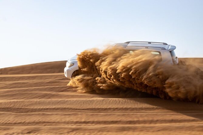 Evening Desert Safari & BBQ With Live Shows,Camel Ride,Falcon pic - How family-friendly is the ride?