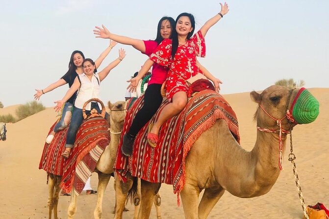 Evening Desert Safari Camel Ride Dinner Live Shows in Abu Dhabi - Bedouin-style hospitality and evening customs