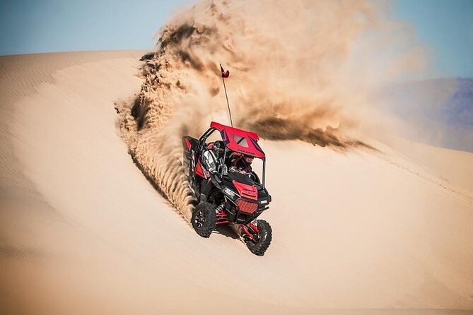 Evening Desert Safari Camel Ride Live Shows Shisha Dinner - Three live shows after sunset