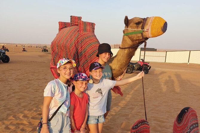 Evening Desert Safari Camel Ride Live Shows Shisha Dinner - Is $49 a fair price?