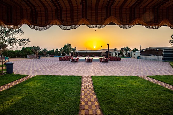 Evening Desert Safari & camel ride – Without Camp Experience - Door-to-door pickup keeps the outing simple