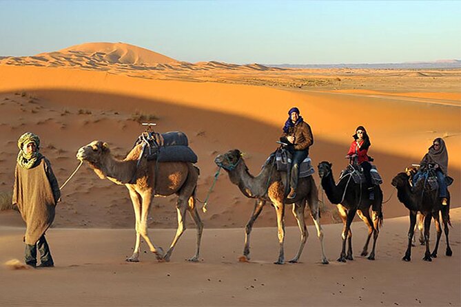Evening Desert Safari Dubai with BBQ Dinner - What the $29 evening safari really includes