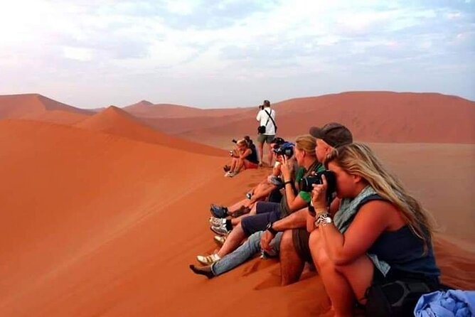 Evening Desert Safari Dubai with BBQ Dinner (Pick Up By Bus) - Sand Boarding, Camel Riding, and Optional Quad Bikes
