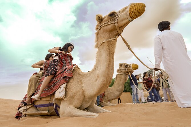 Evening Desert Safari Dubai with BBQ Dinner & Shows - Key points to know before booking