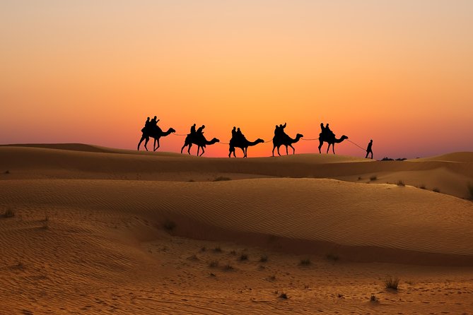 Evening Desert Safari in Dubai, Sandboard & BBQ Dinner - What to expect at the shared camp