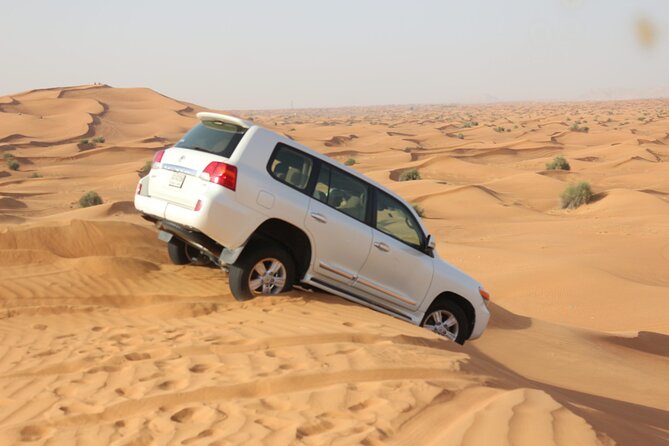 Evening Desert Safari Tour With Dinner & Entertainment - Dune bashing brings the evening’s biggest jolt
